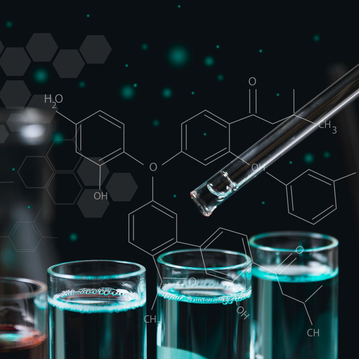 Methodenentwicklung, Validierung und Transfer