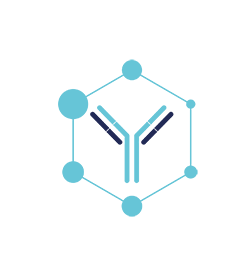 Analytische Dienstleistungen für die Pharmaindustrie. Quality by Design, praktische Produktcharakterisierung und Methodenentwicklung.